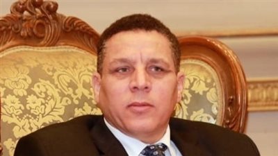 برلماني: خطة تنمية الصعيد تسير على قدم وساق 