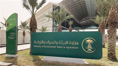 بيئة عسير تعالج ربع مليون شجرة وأكثر من خمسة آلاف دونم