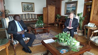 مصر وجنوب السودان تبحثان تعزيز العلاقات الفترة القادمة