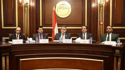 البرلمان يتابع إنشاء وحدة حقوق الإنسان بوزارة الشباب والرياضة 