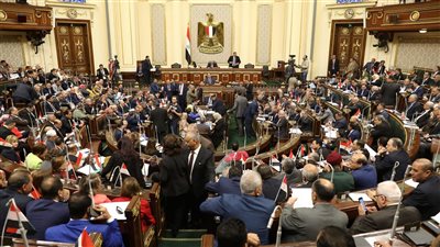 شاهد.. تحرك هام من البرلمان لمواجهة سمنة المصريين