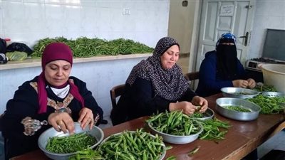 زراعة بورسعيد: استمرار إنتاج معمل الصناعات الغذائية من الخضروات