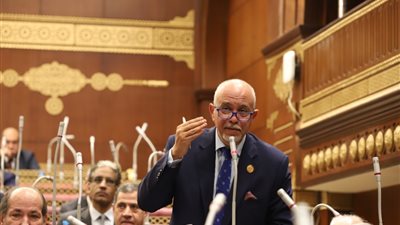 برلماني: الاحتفال السنوي بيوم الشهيد يذكرنا بحجم تضحياتهم من أجل الوطن