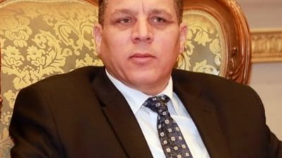 نائب بالشيوخ: مصر قادرة على عبور أزمة التضخم العالمي وتداعيات الحرب الروسية