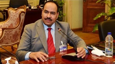 برلماني: مصر خلال عهد السيسي لا تتردد فى إغاثة الدول المنكوبة