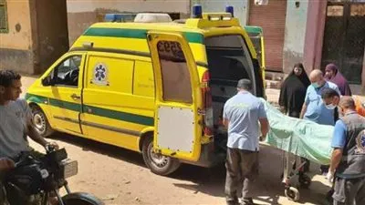 مصرع سائق في حادث تصادم على الطريق الزراعي بالقليوبية