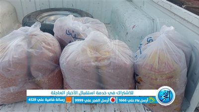 رئيس محلية قوص: تحرير ٤٨ مخالفة تموينية خلال شهر ديسمبر