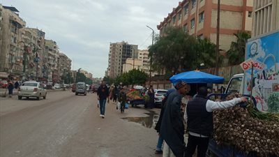 أهالي العجمي بالإسكندرية يطالبون بإنشاء مطب صناعي بمنطقة مجمع المدارس (صور)