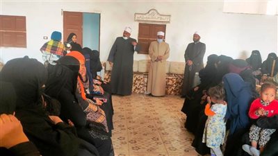 ندوات توعوية داخل 27 قرية بنصر النوبة وكوم أمبو في أسوان 