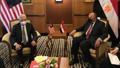 شكري: حجم التبادل التجارى بين مصر وماليزيا فى عام 2021 وصل إلى أكثر من 80%
