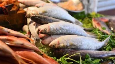 البلطي بـ 28 جنيه.. أسعار الأسماك فى سوق العبور اليوم الاثنين 14 مارس