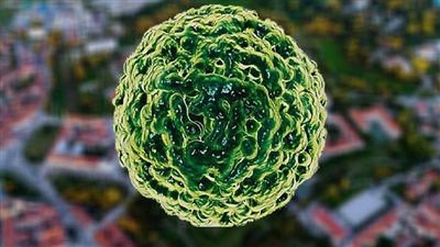 استشاري حالات حرجة يكشف تفاصيل انتشار 