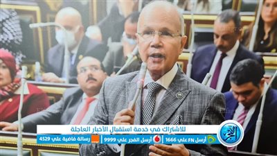 برلماني: قرار الرئيس بتسعير رغيف الخبز جاء في الوقت المناسب