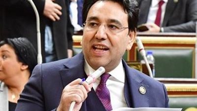 برلماني: توجيهات الرئيس تعكس حرص الدولة على التصدي للسياسات الاحتكارية 