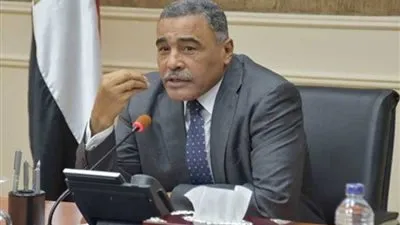 محافظ مطروح: توزيع 207 مزرعة على الشباب لزراعة الزيتون (فيديو)