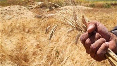 نقيب الزراعيين: 