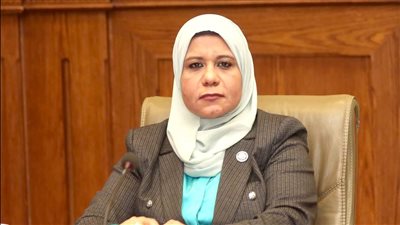 برلمانية: مصر تسير بخطى ثابتة نحو حياة كريمة لكل المصريين 