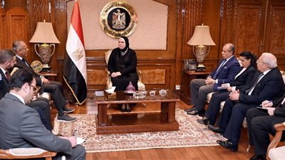 نيفين جامع: ارتفاع الصادارت المصرية للسعودية 17.4% خلال 2022