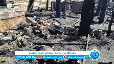نفوق وإصابة 10 رؤوس ماشية وحمار في حريق 4 حظائر ببني سويف