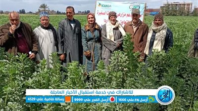 مشروع دعم مزارعي الحيازات الصغيرة بالتعاون مع الايكاردا لزراعة كفرالشيخ