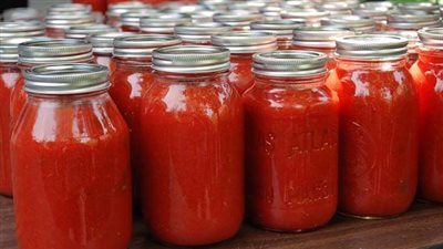 شريف غالي: يكشف عن حجم صادرات الصلصة المصرية إلى إفريقيا 