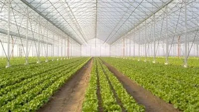 الأقصر تستضيف المؤتمر الدولي الثامن في الدراسات الزراعية والغذائية المتقدمة