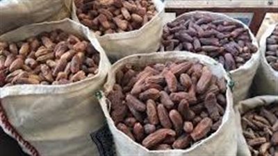 ضبط طن ونصف بلح غير صالح للاستهلاك الآدمي بالقليوبية