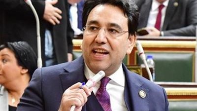 برلماني: معدل البطالة انخفض بين الإناث.. والمرأة المصرية تعيش عصرها الذهبي