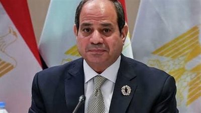 رسالة مبشرة من السيسي للمصريين بشأن السلع الغذائية (فيديو)