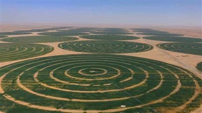 رئيس هيئة التعمير يوضح أهمية توشكى لملف الأمن الغذائي (فيديو)