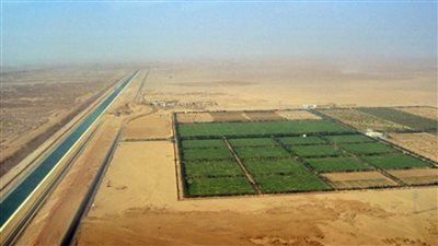 مسئول بمشروع توشكى: نستهدف الوصول لـ250 ألف فدان