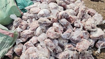 حملات تفتيشية على منافذ تقديم المواد الغذائية في الدقهلية تعدم 2 طن أغذية 