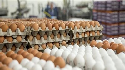 البيض يعاود الارتفاع.. و