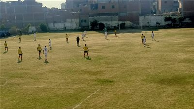 فوز غزل شبين ومنوف وفاقوس والشرقية وتعادل أشمون في ختام القسم الثالث