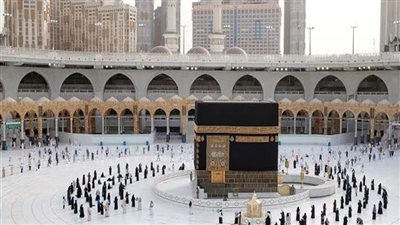 عضو الغرف السياحية يوجه مناشدة للسيسي بخصوص عودة الحج هذا العام (فيديو)