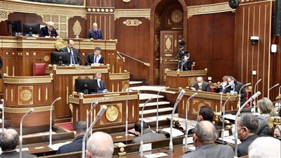 مجلس الشيوخ يحيل 10 تقارير للجان النوعية إلى الحكومه