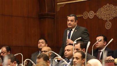 نائب التنسيقية: السيسي هو الداعم الأول للمجتمع المدني 