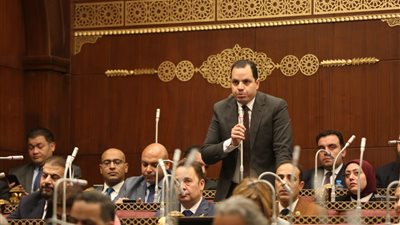 برلماني: مؤسسات المجتمع المدني أصبحت شريكا أساسيا في التنمية