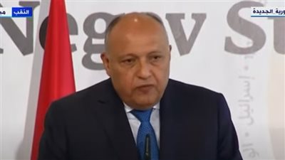 سامح شكري: نمر بوقت حساس.. وعلينا تحقيق مصلحة المنطقة