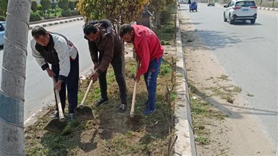 رفع 240 طن قمامة من شوارع وميادين الدقهلية (صور)