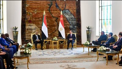 عاجل.. ننشر تفاصيل البيان المشترك المصري السوداني 
