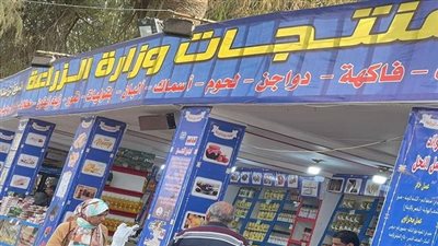 بتخفيضات تصل لـ 40%.. الزراعة تعلن أسعار السلع بمنافذها (فيديو)