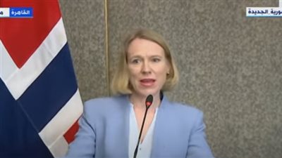 وزير خارجية النرويج تكشف تفاصيل مباحثاتها مع سامح شكري