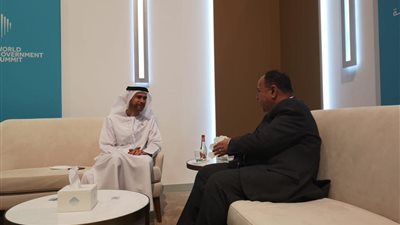 وزيرا المالية المصرى والإماراتي: تعزيز التكامل العربى فى مواجهة التحديات الاقتصادية 