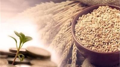 يجوز إخراجها في أول رمضان.. تعرف على زكاة الفطر وقيمتها