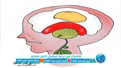 تخاريف صيام