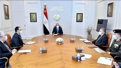 عاجل.. السيسي يصدر توجيها جديدا لوزير الزراعة بشأن القطن