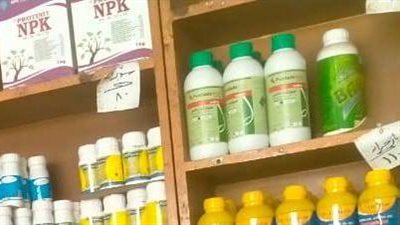 تموين المنوفية: تحرير 127 محضرا وضبط 5 طن ذرة وأرز مجهولة المصدر