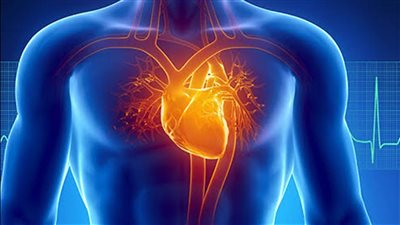 استشاري أمراض قلب يُحذر هذه الحالات من الصيام (فيديو)