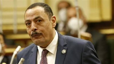 برلماني يطالب الحكومة بسرعة تنفيذ توجيهات الرئيس السيسي بشأن تطوير معهد ناصر